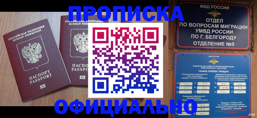 найти адрес прописки в Славгороде
